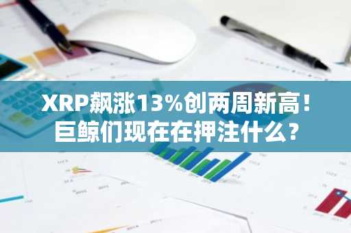 XRP飙涨13%创两周新高!巨鲸们现在在押注什么?