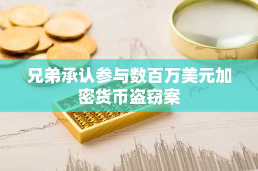 兄弟承认参与数百万美元加密货币盗窃案