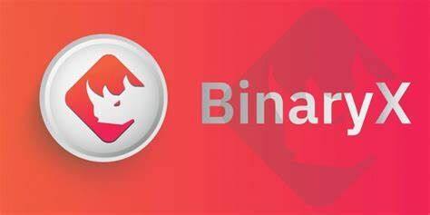 什么是BinaryX币