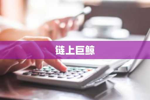 链上巨鲸