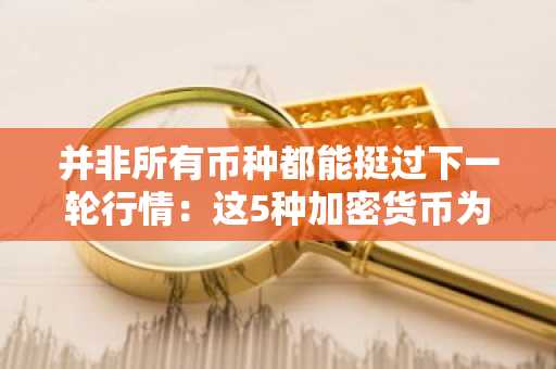 并非所有币种都能挺过下一轮行情:这5种加密货币为何提前获关注