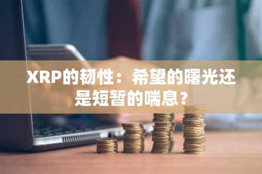 XRP的韧性：希望的曙光还是短暂的喘息？