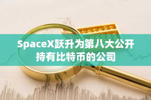 SpaceX跃升为第八大公开持有比特币的公司