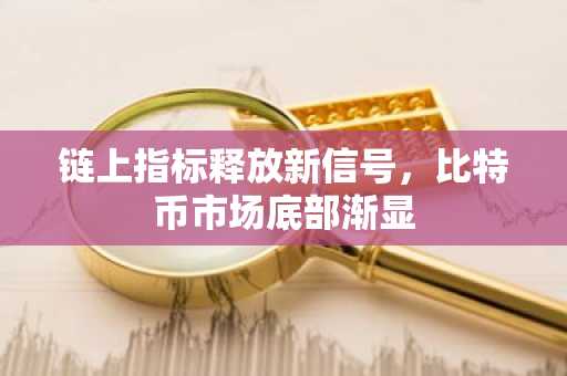 链上指标释放新信号，比特币市场底部渐显