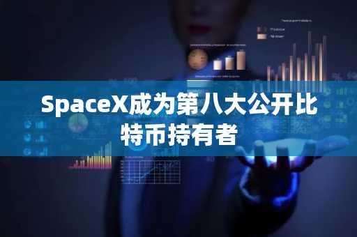 SpaceX成为第八大公开比特币持有者