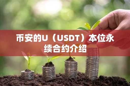 币安的U（USDT）本位永续合约介绍