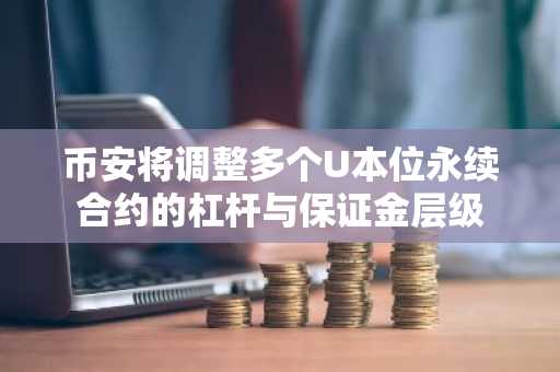 币安将调整多个U本位永续合约的杠杆与保证金层级