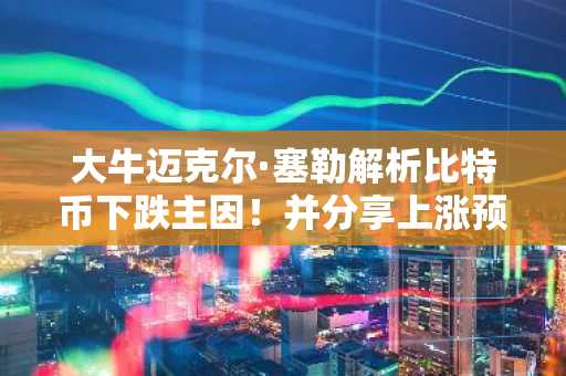 大牛迈克尔·塞勒解析比特币下跌主因!并分享上涨预测