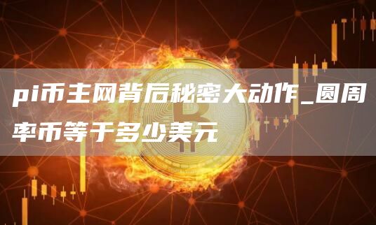 pi币主网背后秘密大动作_圆周率币等于多少美元