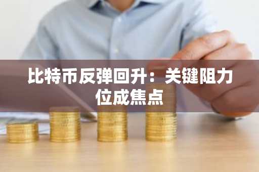 比特币反弹回升:关键阻力位成焦点