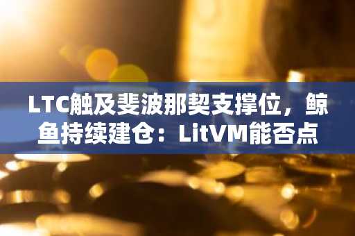 LTC触及斐波那契支撑位，鲸鱼持续建仓：LitVM能否点燃下一轮上涨？
