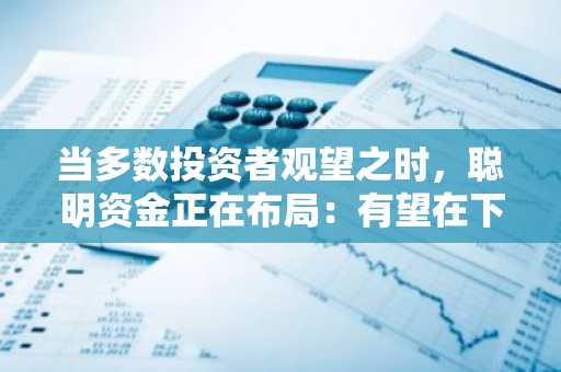 当多数投资者观望之时，聪明资金正在布局：有望在下轮市场扩张中实现10至20倍增长的五大潜力加密币