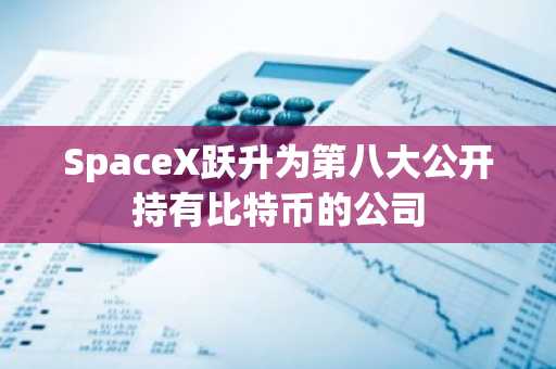 SpaceX跃升为第八大公开持有比特币的公司