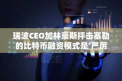 瑞波CEO加林豪斯抨击塞勒的比特币融资模式是‘严厉指控’