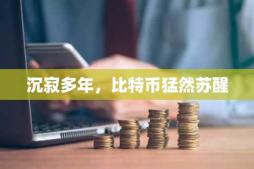 沉寂多年,比特币猛然苏醒