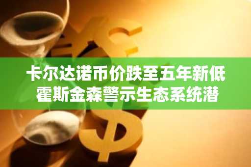卡尔达诺币价跌至五年新低 霍斯金森警示生态系统潜在危机