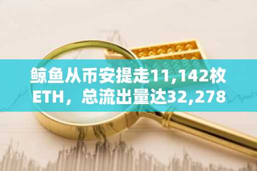 鲸鱼从币安提走11,142枚ETH,总流出量达32,278枚ETH