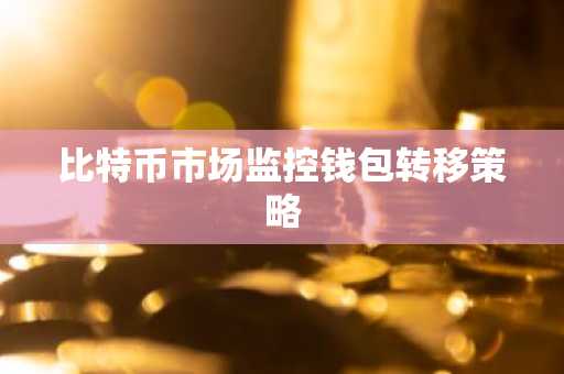 比特币市场监控钱包转移策略