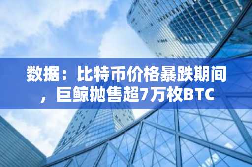 数据：比特币价格暴跌期间，巨鲸抛售超7万枚BTC