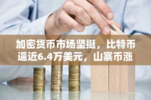加密货币市场坚挺,比特币逼近6.4万美元,山寨币涨跌互现