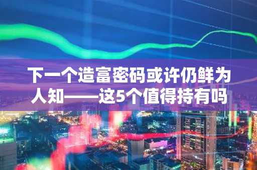 下一个造富密码或许仍鲜为人知——这5个值得持有吗?