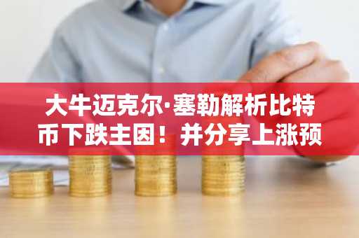 大牛迈克尔·塞勒解析比特币下跌主因！并分享上涨预测
