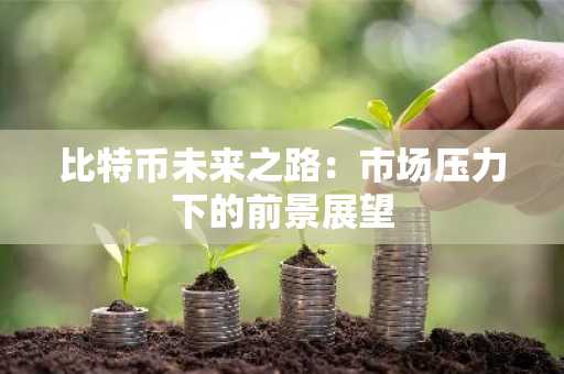 比特币未来之路：市场压力下的前景展望