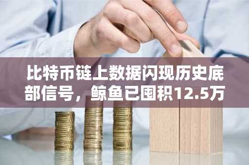 比特币链上数据闪现历史底部信号,鲸鱼已囤积12.5万枚BTC
