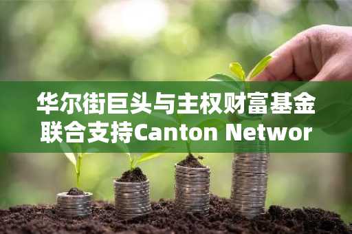 华尔街巨头与主权财富基金联合支持Canton Network创建者，完成3.55亿美元融资