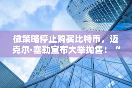 微策略停止购买比特币,迈克尔·塞勒宣布大举抛售!“12亿美元抛售或有三大目的!”