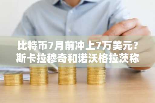 比特币7月前冲上7万美元？斯卡拉穆奇和诺沃格拉茨称有路径可循