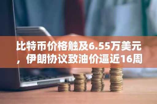 比特币价格触及6.55万美元,伊朗协议致油价逼近16周低点