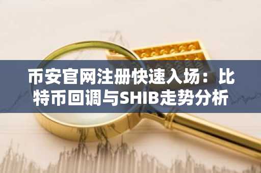 币安官网注册快速入场：比特币回调与SHIB走势分析