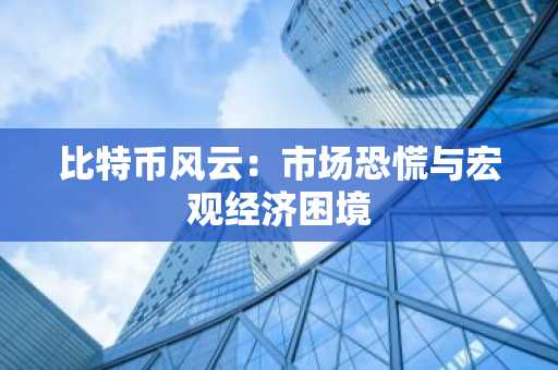 比特币风云:市场恐慌与宏观经济困境