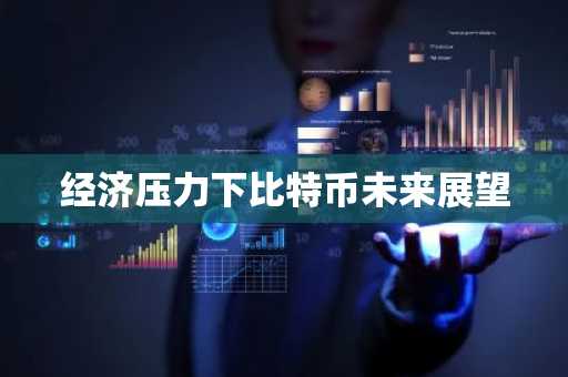 经济压力下比特币未来展望