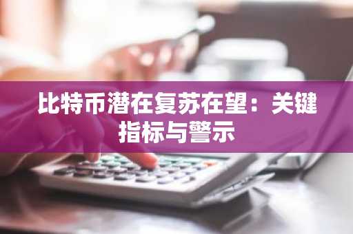 比特币潜在复苏在望：关键指标与警示