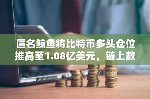 匿名鲸鱼将比特币多头仓位推高至1.08亿美元,链上数据显示