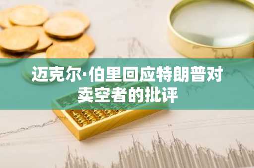 迈克尔·伯里回应特朗普对卖空者的批评