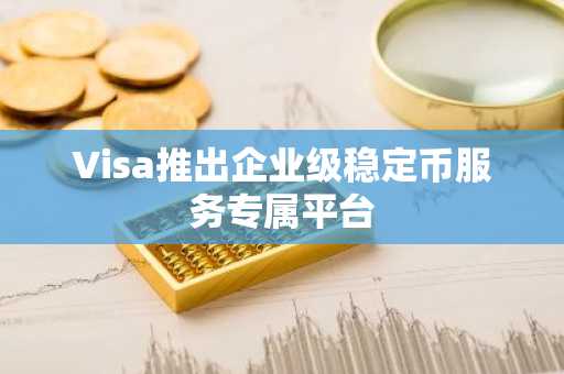 Visa推出企业级稳定币服务专属平台