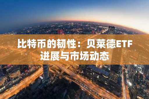 比特币的韧性：贝莱德ETF进展与市场动态