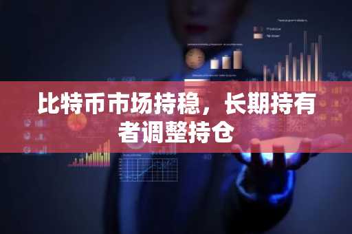 比特币市场持稳,长期持有者调整持仓