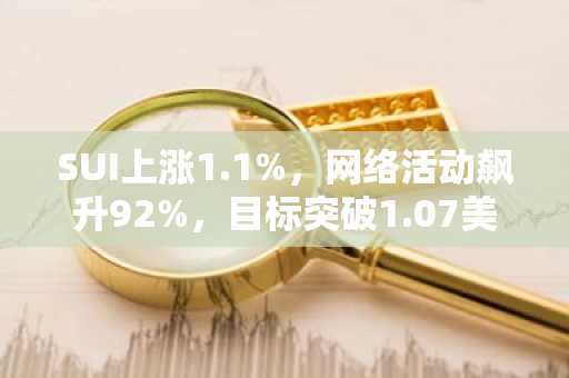 SUI上涨1.1%,网络活动飙升92%,目标突破1.07美元