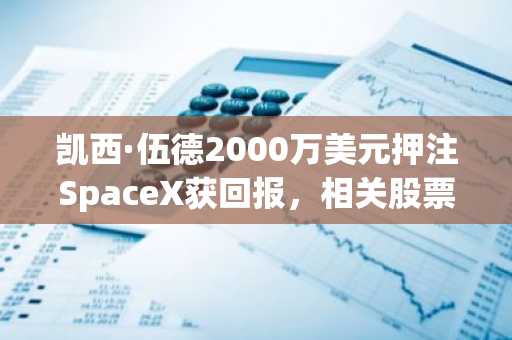 凯西·伍德2000万美元押注SpaceX获回报,相关股票上涨7%