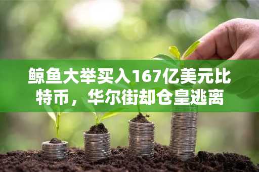 鲸鱼大举买入167亿美元比特币，华尔街却仓皇逃离