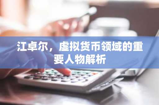 江卓尔，虚拟货币领域的重要人物解析